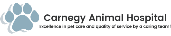 Carnegy Animal Hospital | Veterinarian in Halifax, Nova Scotia