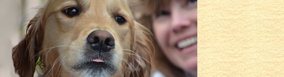 retriever banner