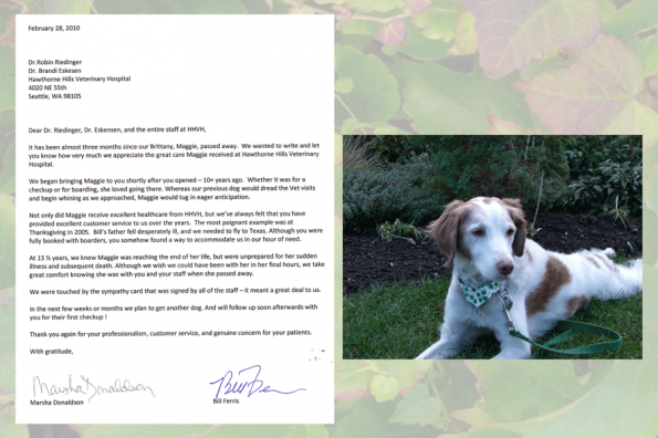 patient at Hawthorne Hills Veterinary Hospital, Seattle, Washington