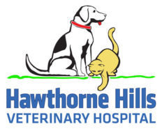 Logo for Seattle, WA Veterinarians Veterinary Hospital | Hawthorne Hills Veterinary Hospital Seattle