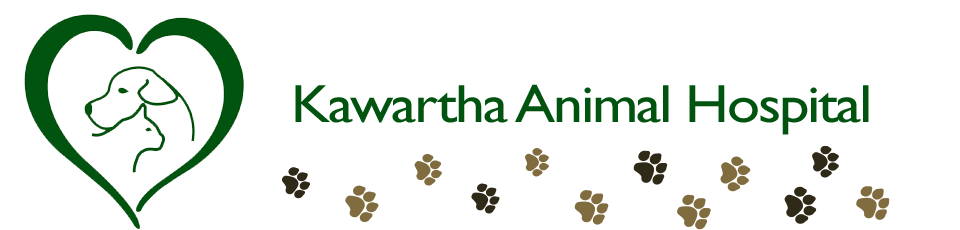 Welcome to Kawartha Animal Hospital!