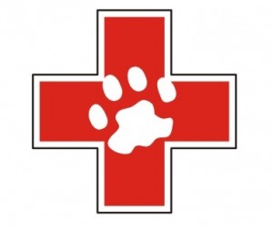 Lake Lavon Animal Hospital Logo clean