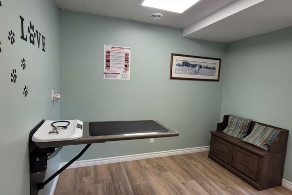 Wellness Exam Room 1