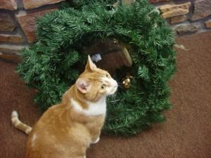 Butters_Wreath