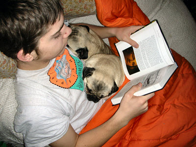 Photo of boy reading with two pugs